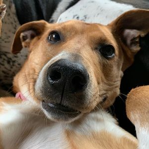 Meet your Posher, Kate